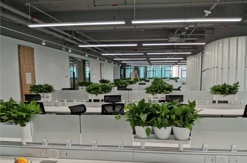 不同工作性質如何選擇辦公室風水植物.png 不同工作性質如何選擇辦公室風水植物.png